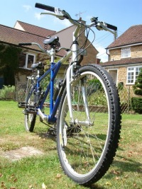 Our trusty steed